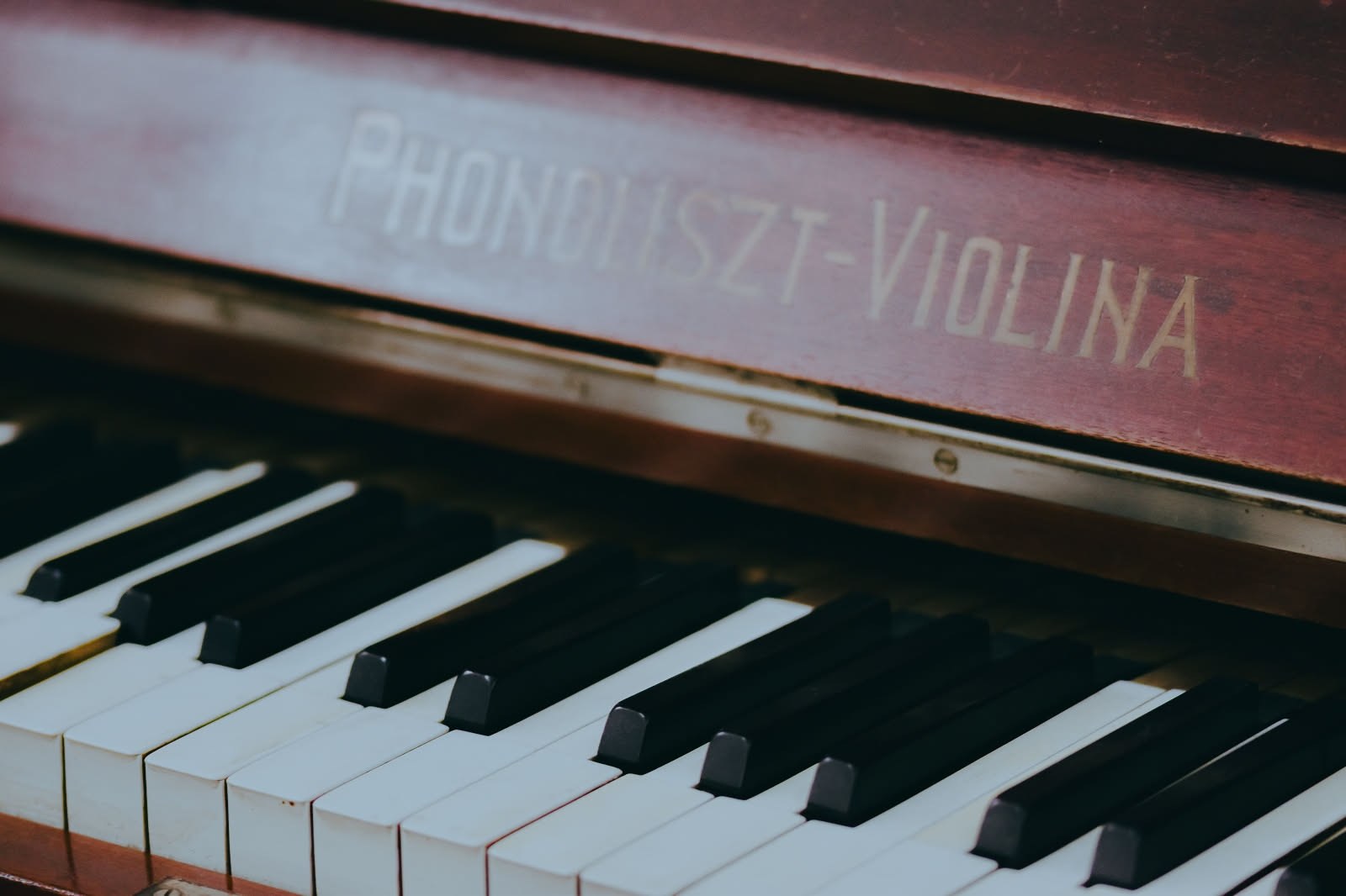 Cos'è davvero l'Effetto Mozart e cosa dice la scienza del suo impatto sul cervello