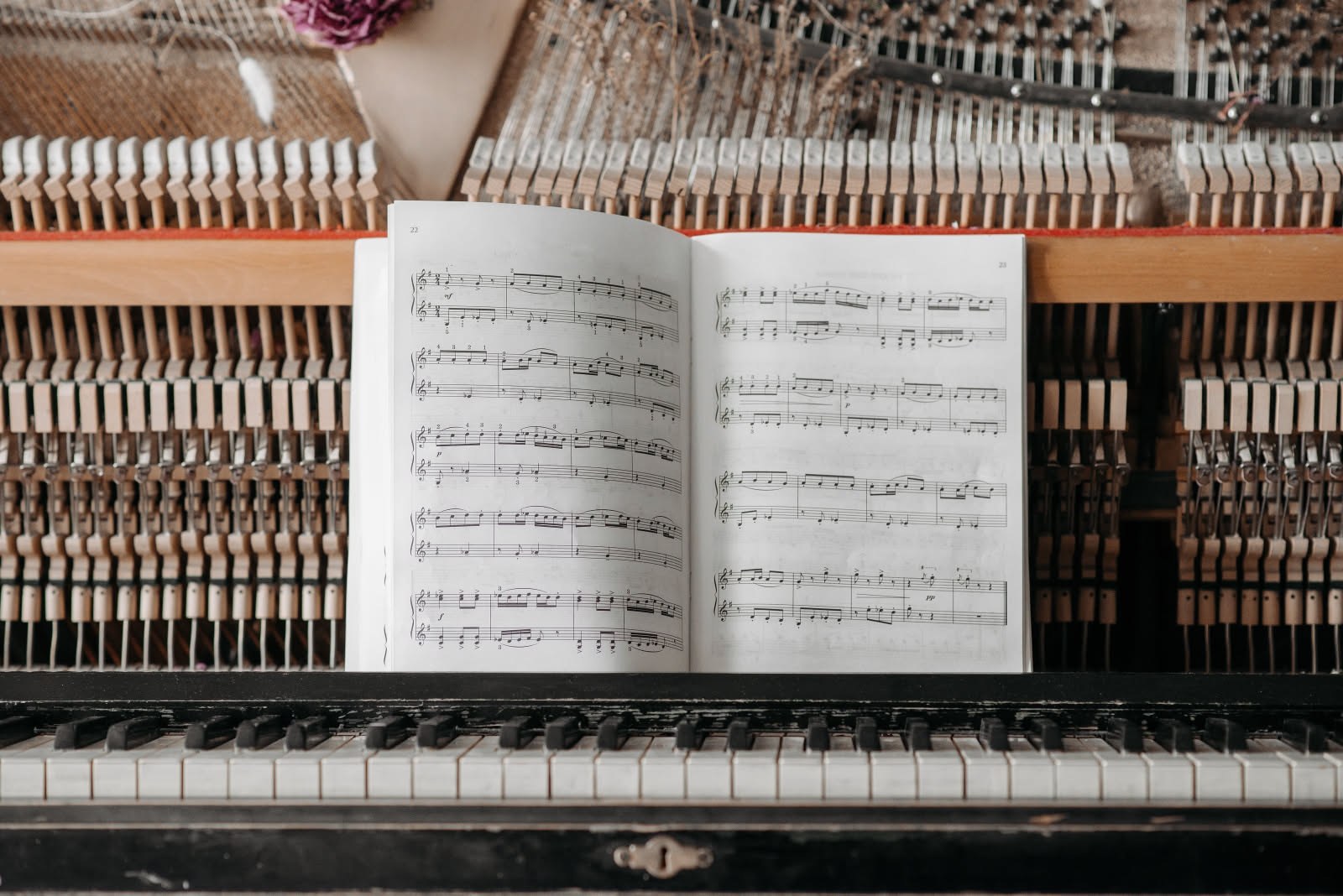 Come si legge un programma di sala di un concerto di musica classica: guida rapida