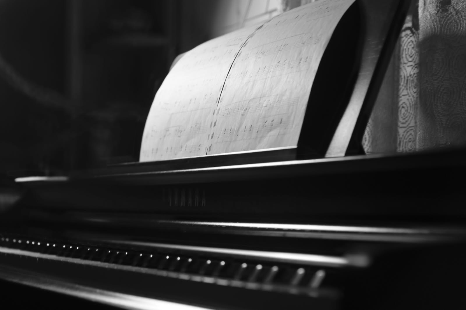 Musica classica e studio: quali frequenze e tempi musicali favoriscono davvero la memoria?