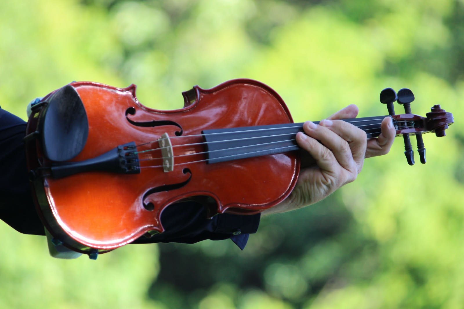 Perché il direttore d'orchestra usa la bacchetta solo con la mano destra?