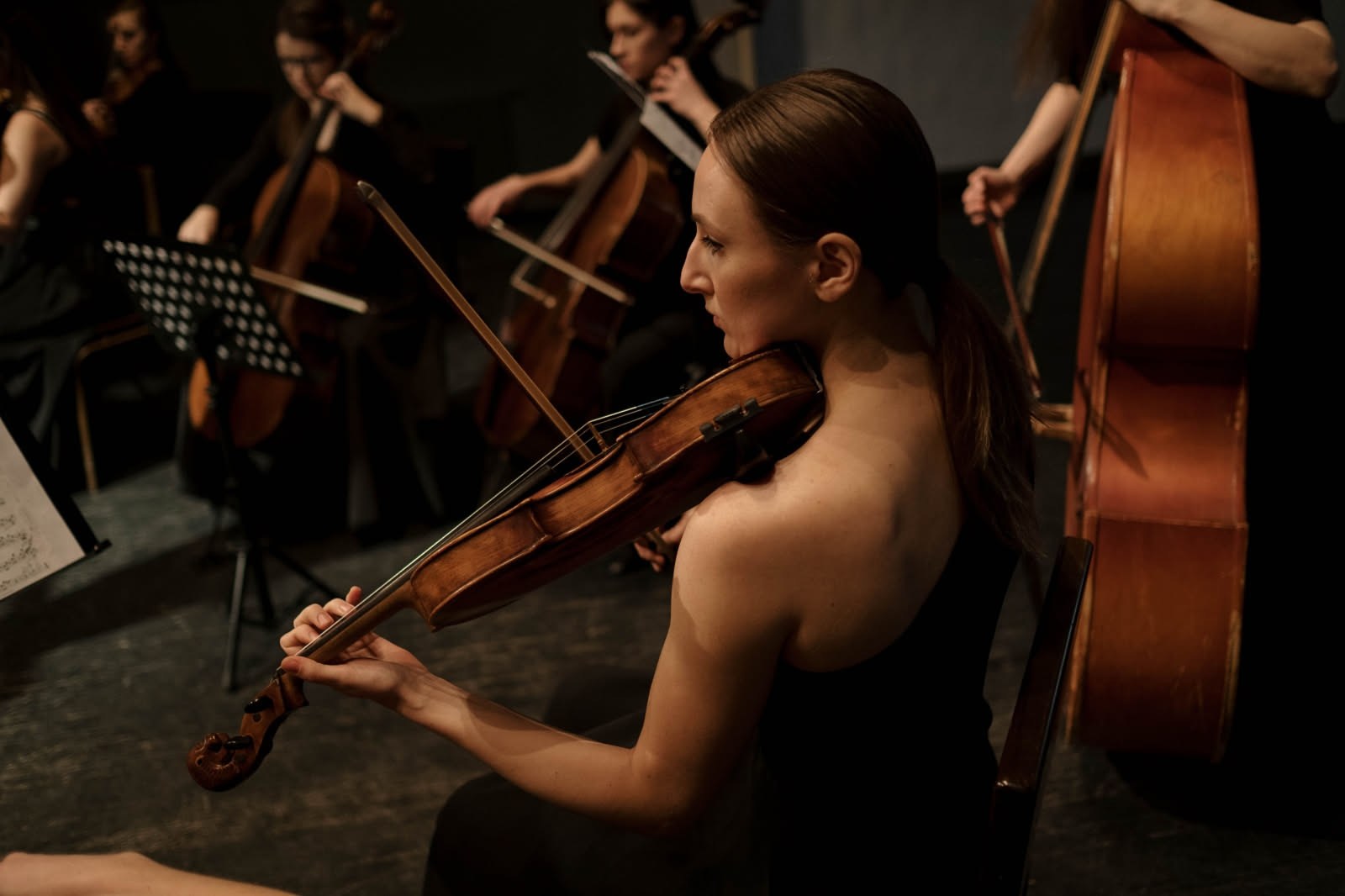 Che differenza c'è tra sinfonia, concerto e sonata: la guida semplice per riconoscerli
