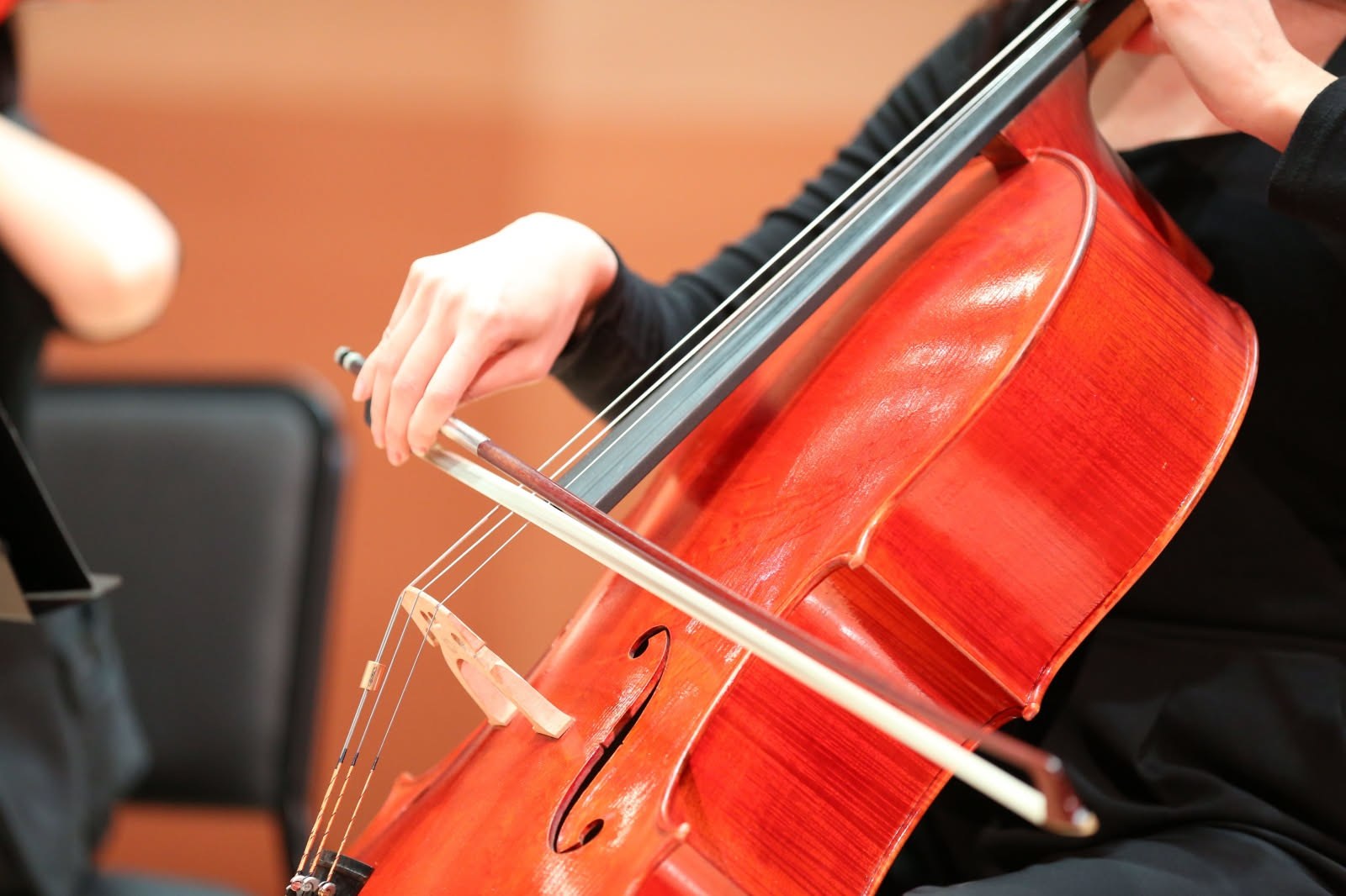 Perché molti violinisti preferiscono ancora i crini di cavallo a quelli sintetici?