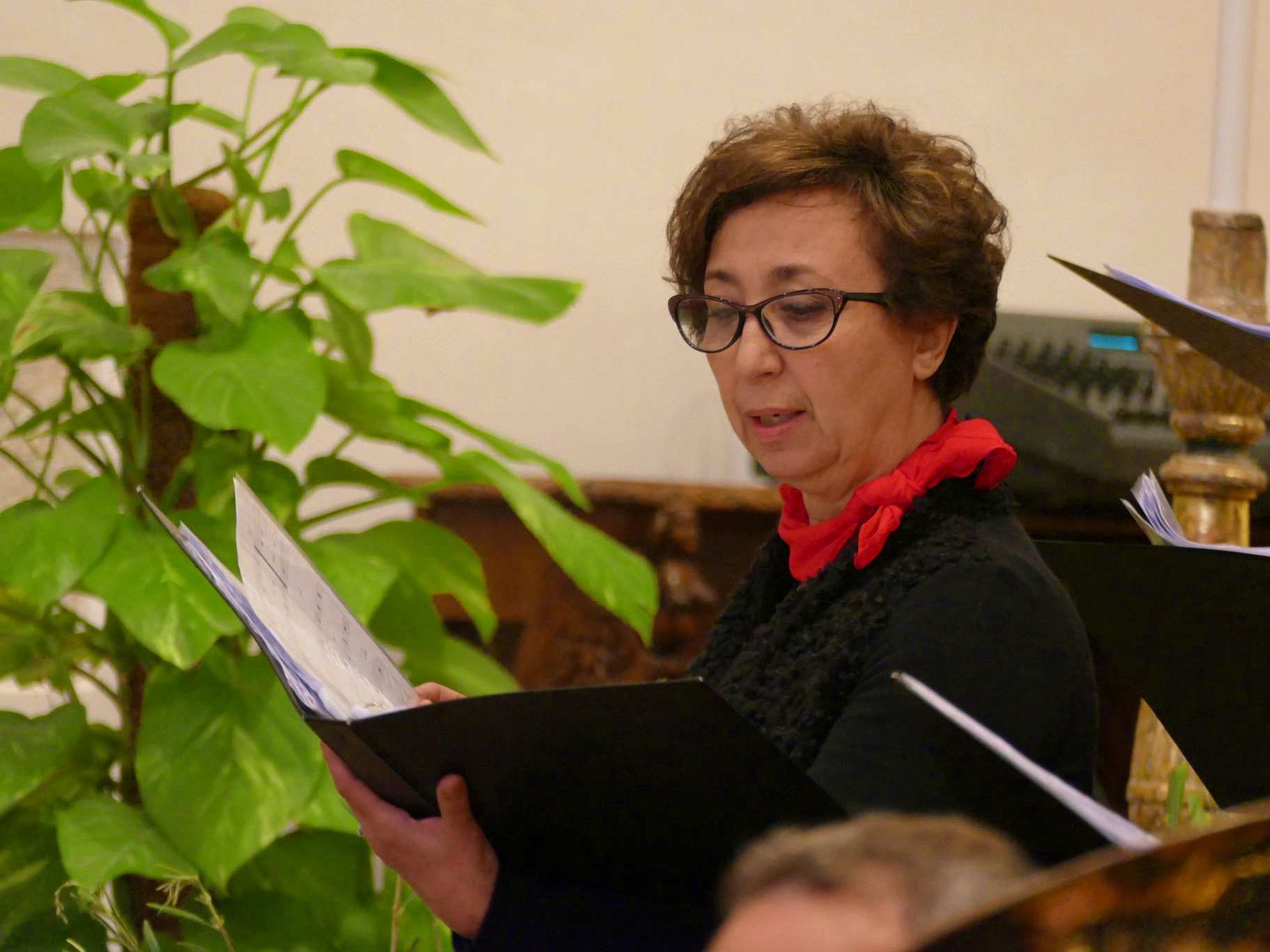 Liana D'Angelo — Pianista